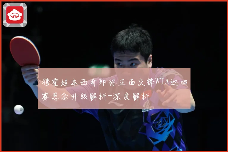 穆霍娃本西奇即将正面交锋WTA巡回赛悬念升级解析-深度解析